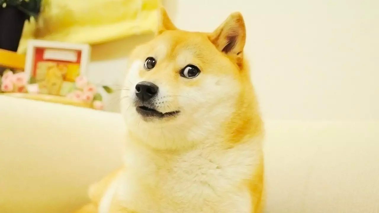 NFT'ye dönüştürülen Doge 