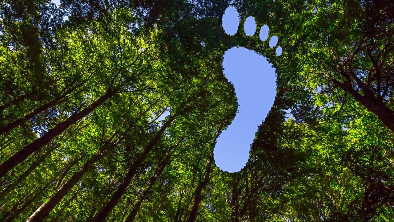 Karbon ayak izi hesaplayan girişimler yatırımcıların radarında: Yeni bir çağın habercisi mi?