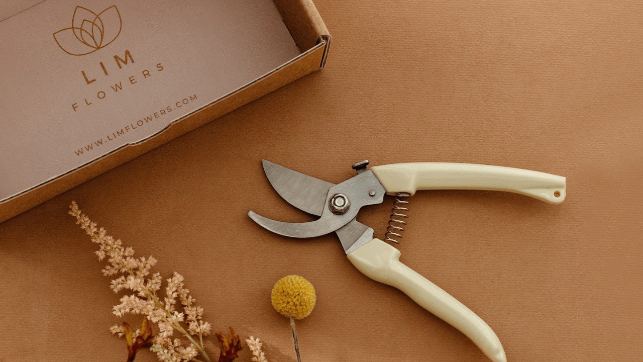 Çiçek odaklı yeni nesil abonelik servisi LIM Flowers, ilk yatırımını aldı