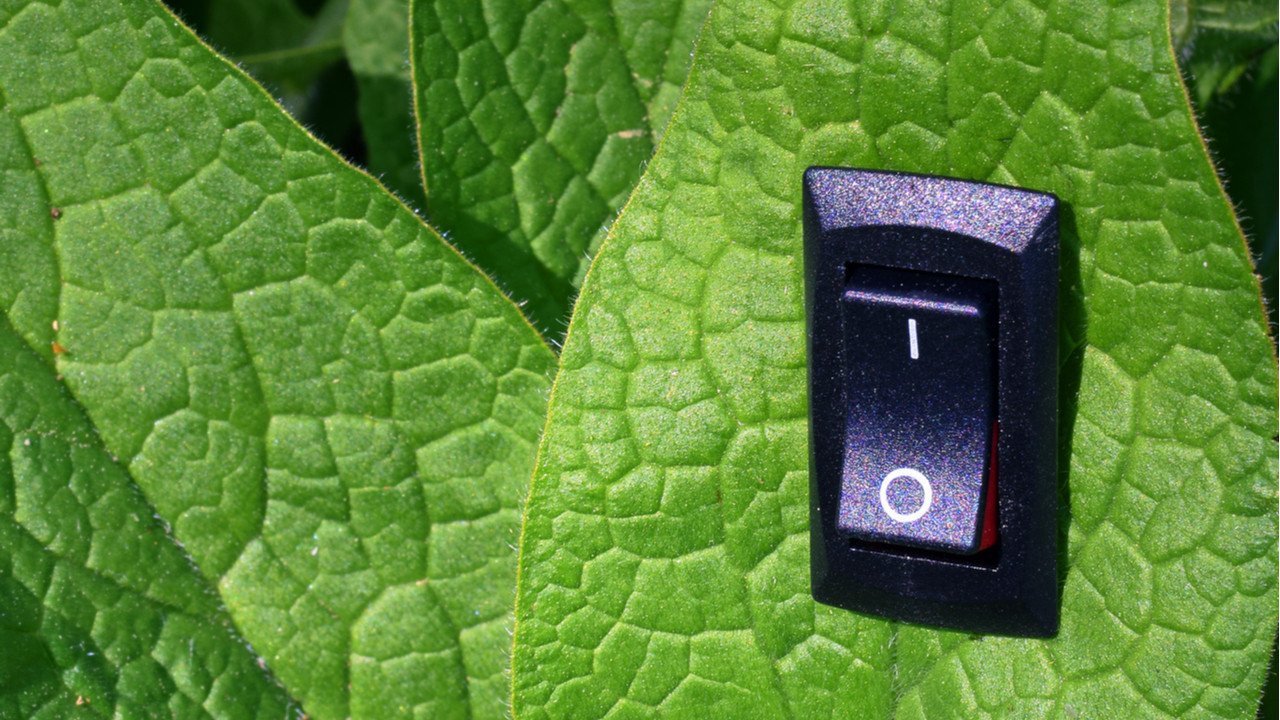Cleantech girişimlerine yatırımcıların ilgisi yeniden artmakta