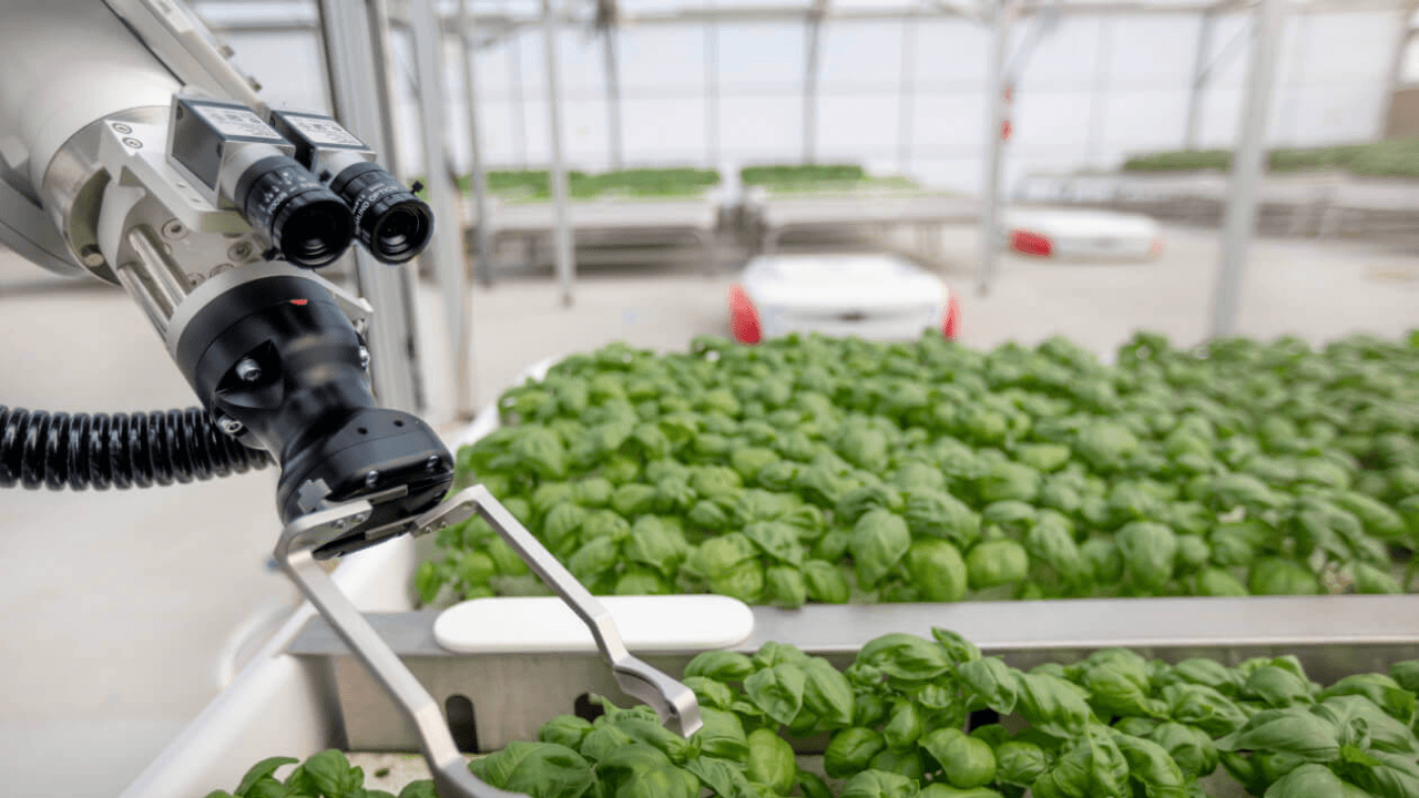 Tarım teknolojilerine odaklanan Iron Ox, 53 milyon dolar yatırım aldı