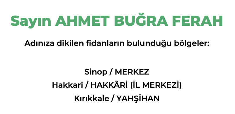 ekran-resmi-2021-11-11-os-12438-217