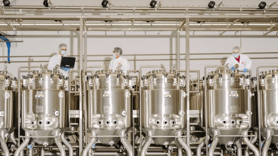 Upside Foods yeni tesisi ile yaklaşık 180 ton yapay et üretmeye hazır