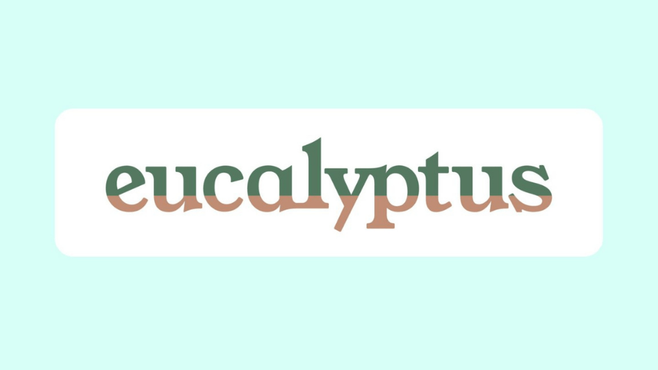 Airbnb ve Canva'nın ilk yatırımcısı Bond, tele-sağlık girişimi Eucalyptus'a 42 milyon dolar yatırım yaptı