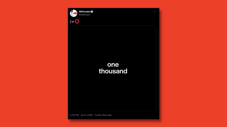 Julian Assange ve Pak yeni bir NFT koleksiyonu için iş birliği yapıyor