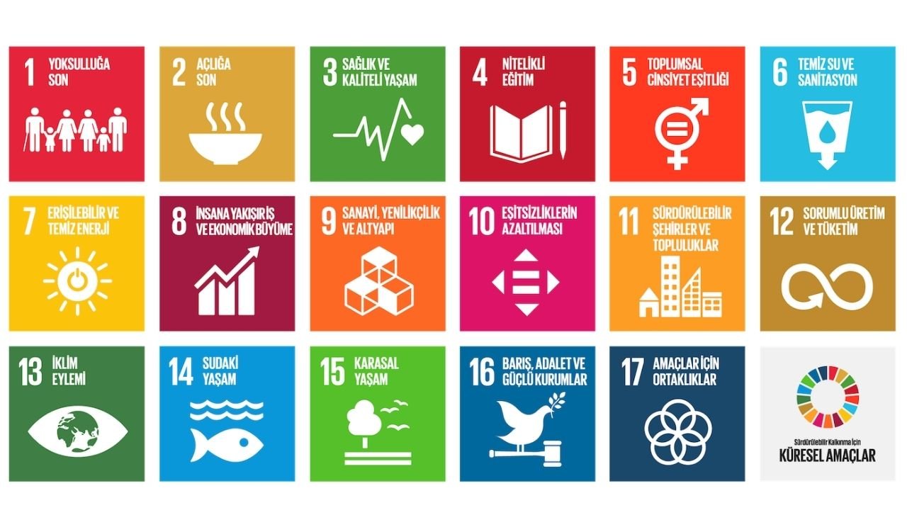 Dünyayı kalkındıran Türk kadın girişimciler