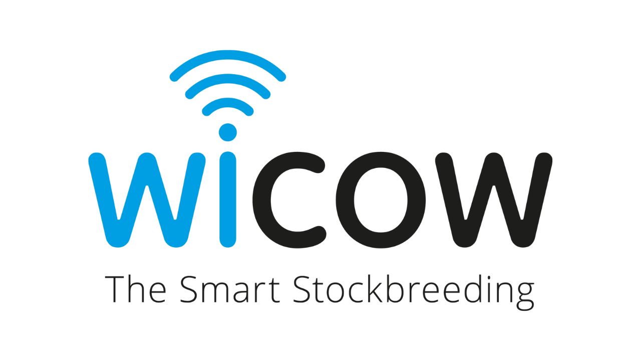 Yapay zekayla büyükbaş hayvanların sağlığını iyileştirerek verimliliğini artıran hayvan sağlık takip sistemi: wiCow