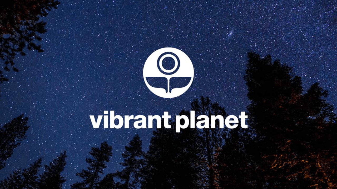 Orman restorasyonuna odaklanan Vibrant Planet, 17 milyon dolar tohum yatırım aldı