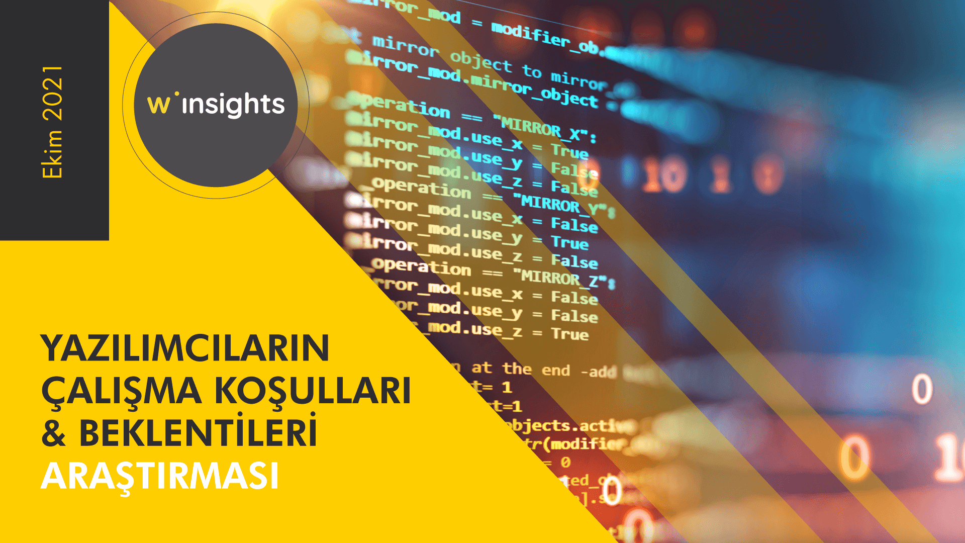 Yazılımcıların Çalışma Koşulları ve Beklentileri Araştırması