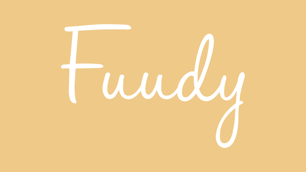 Fuudy, 11 milyon dolar değerleme üzerinden 300 bin dolar yatırım aldı