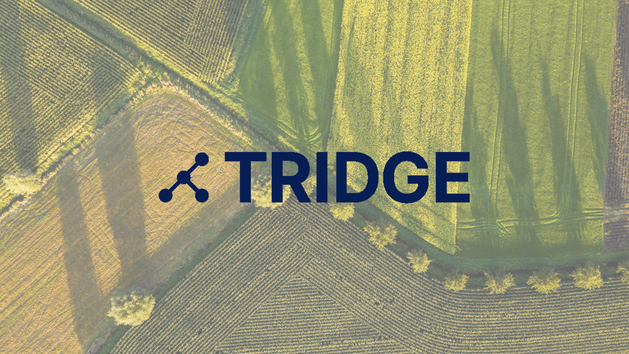 Tarım ve gıda ticareti platformu Tridge'in değerlemesi 2.7 milyar dolara ulaştı