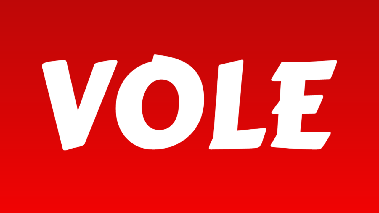 VOLE, 40 milyon dolar değerleme ile Re-Pie'dan yatırım aldı