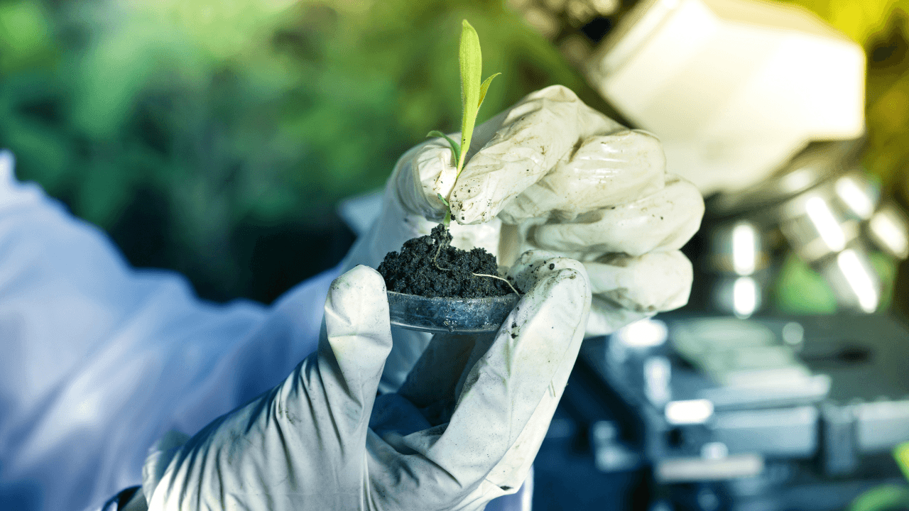 Synonym Biotechnologies, Andreessen Horowitz'in katıldığı turda 6.3 milyon dolar yatırım aldı