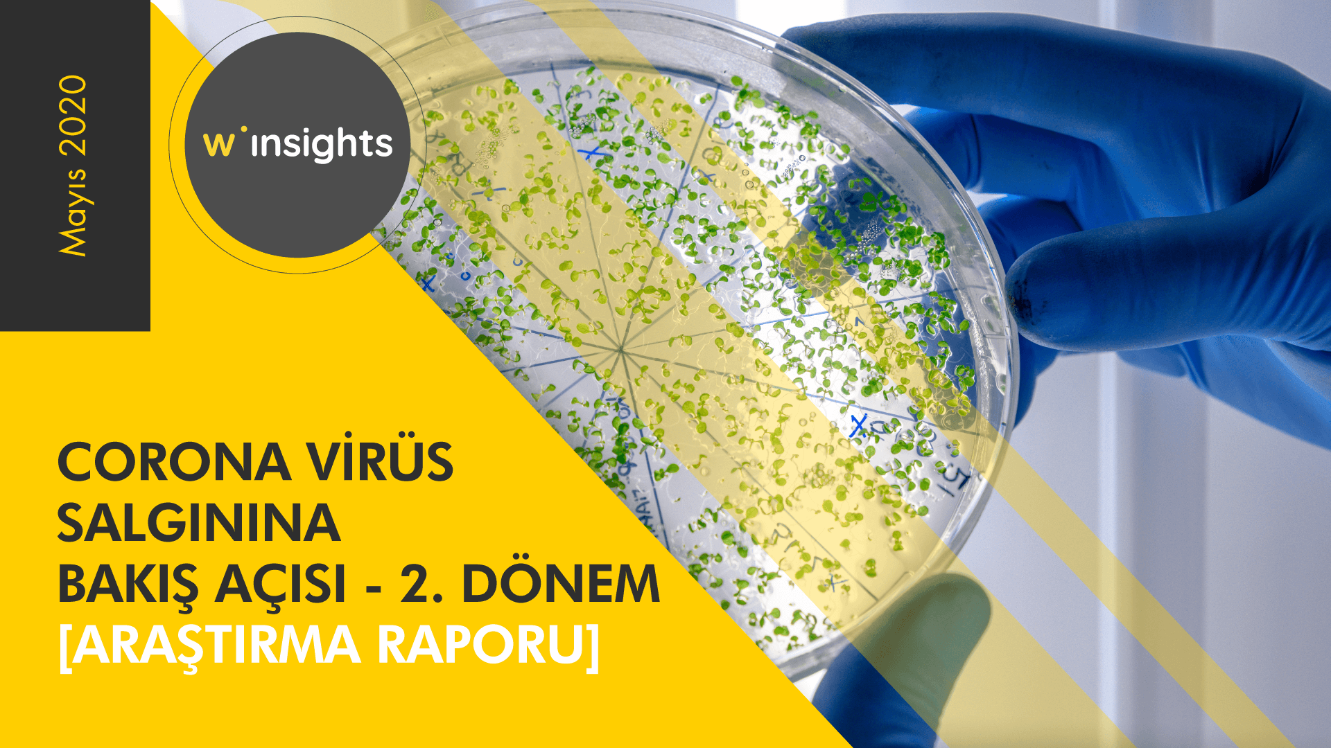 Corona Virüs Salgınına Bakış Açısı - 2. Dönem [Araştırma Raporu]