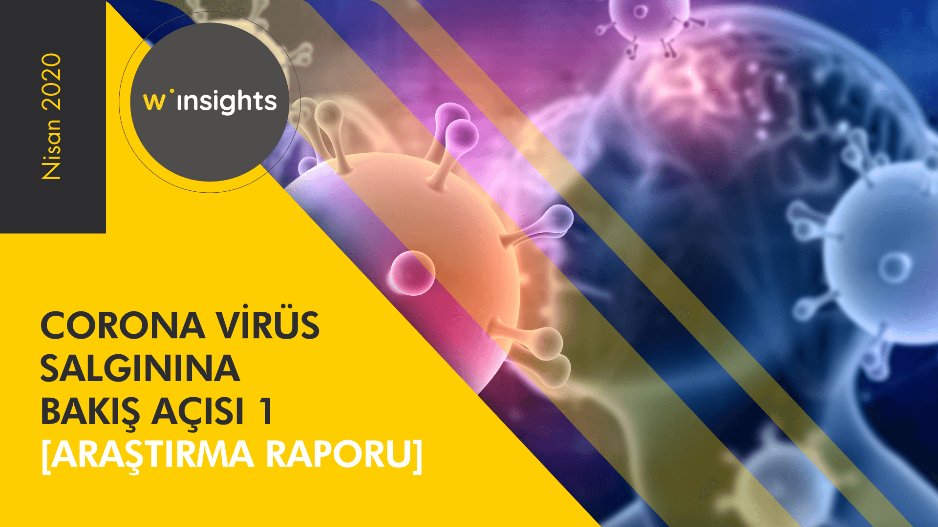 Corona Virüs Salgınına Bakış Açısı [Araştırma Raporu]