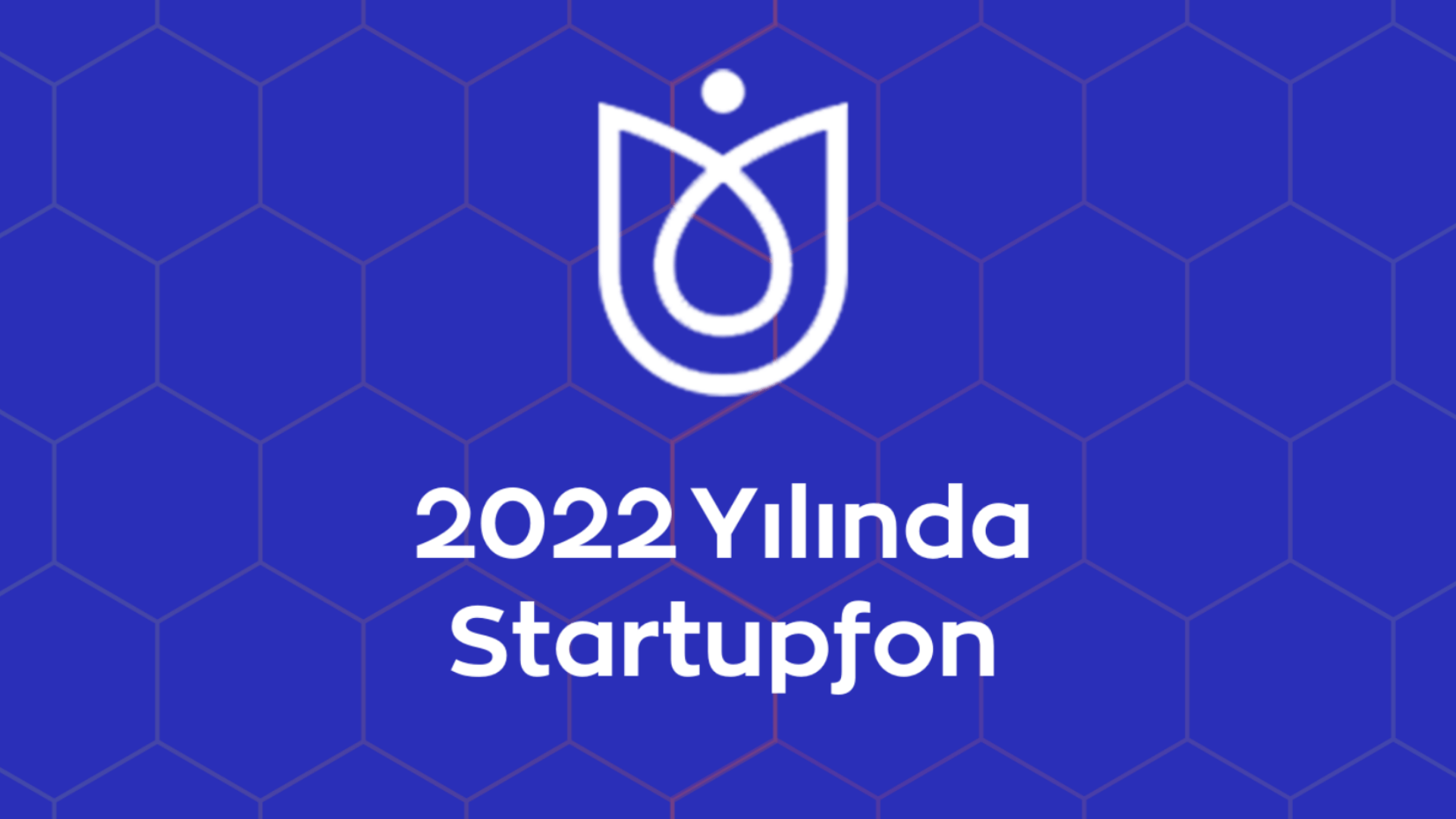 Startupfon'un 2022 yılında öne çıkan rakamları