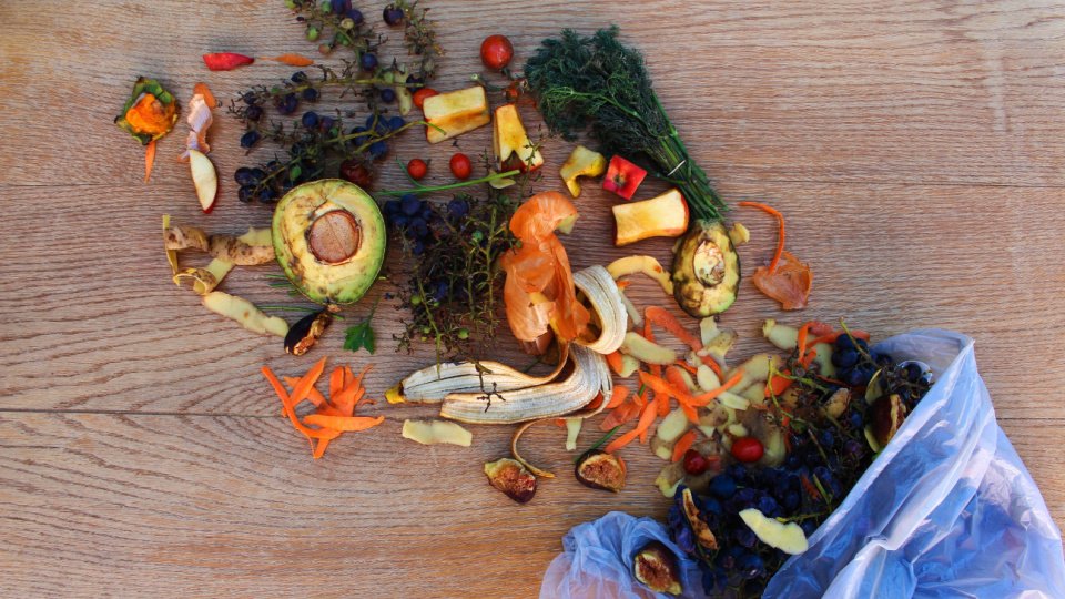 Gıda israfı konusunda çözümler sunan uygulamalara ilgi artıyor