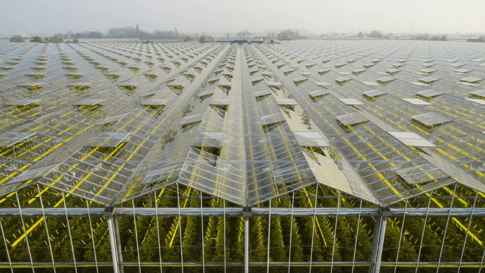 Tarım teknolojisi girişimi Source.ag, 23 milyon dolar yatırım aldı