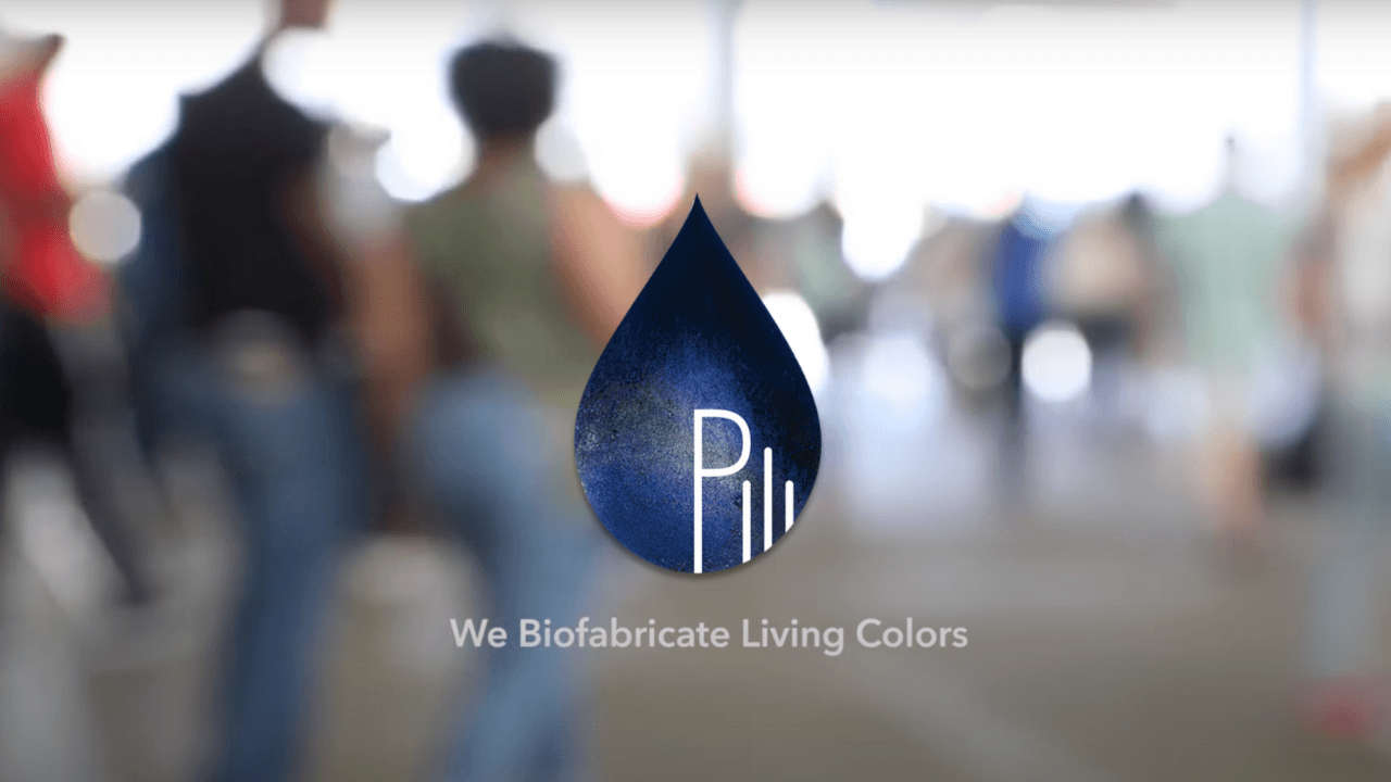 Yenilenebilir ham maddelerden boya üreten PILI 15,8 milyon dolar yatırım aldı