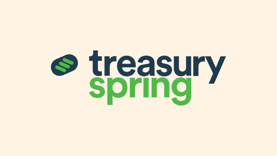 Fintech girişimi TreasurySpring, 29 milyon dolar yatırım aldı