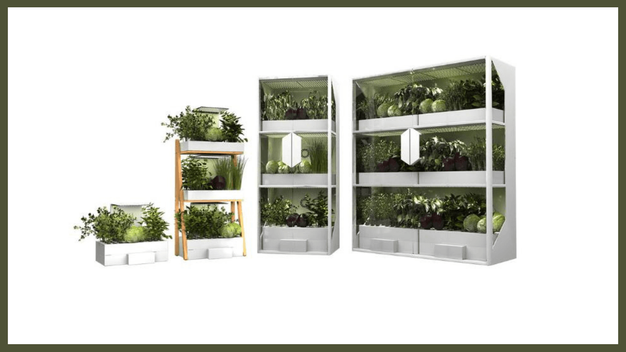 Yerli topraksız tarım girişimi: Ubicro