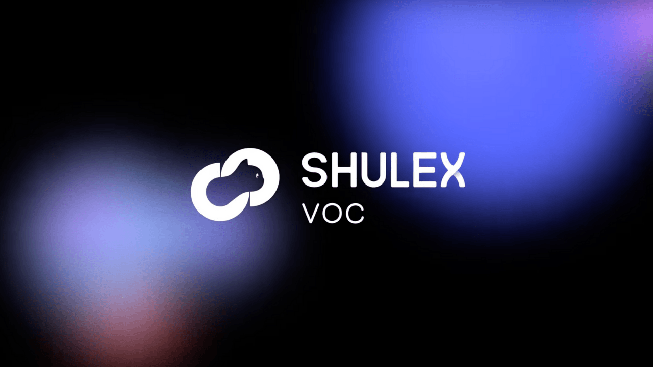 Amazon için ChatGPT uzantısı da sunan SaaS platformu: Shulex VOC