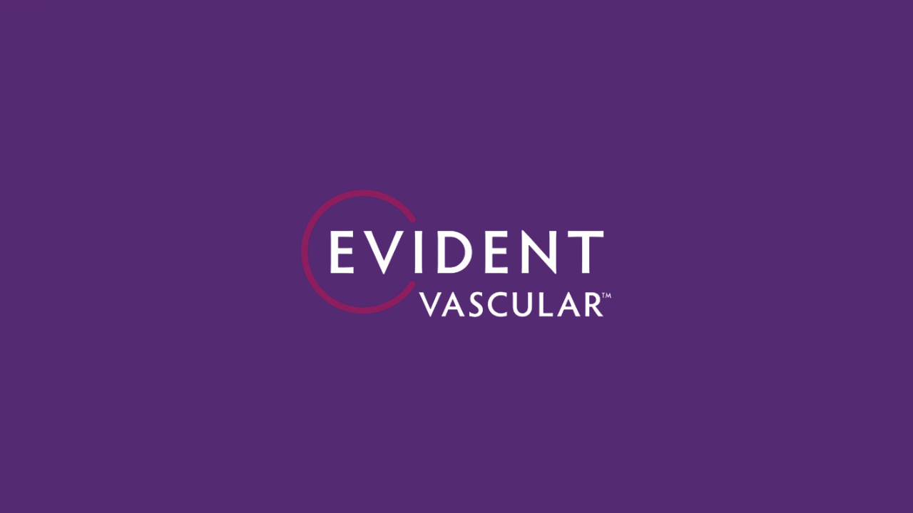 İntravasküler ultrason teknolojisi geliştiren Evident Vascular, 35 milyon dolar yatırım aldı