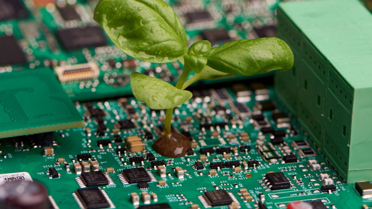 Yeşil dönüşüm projelerini destekleyecek 