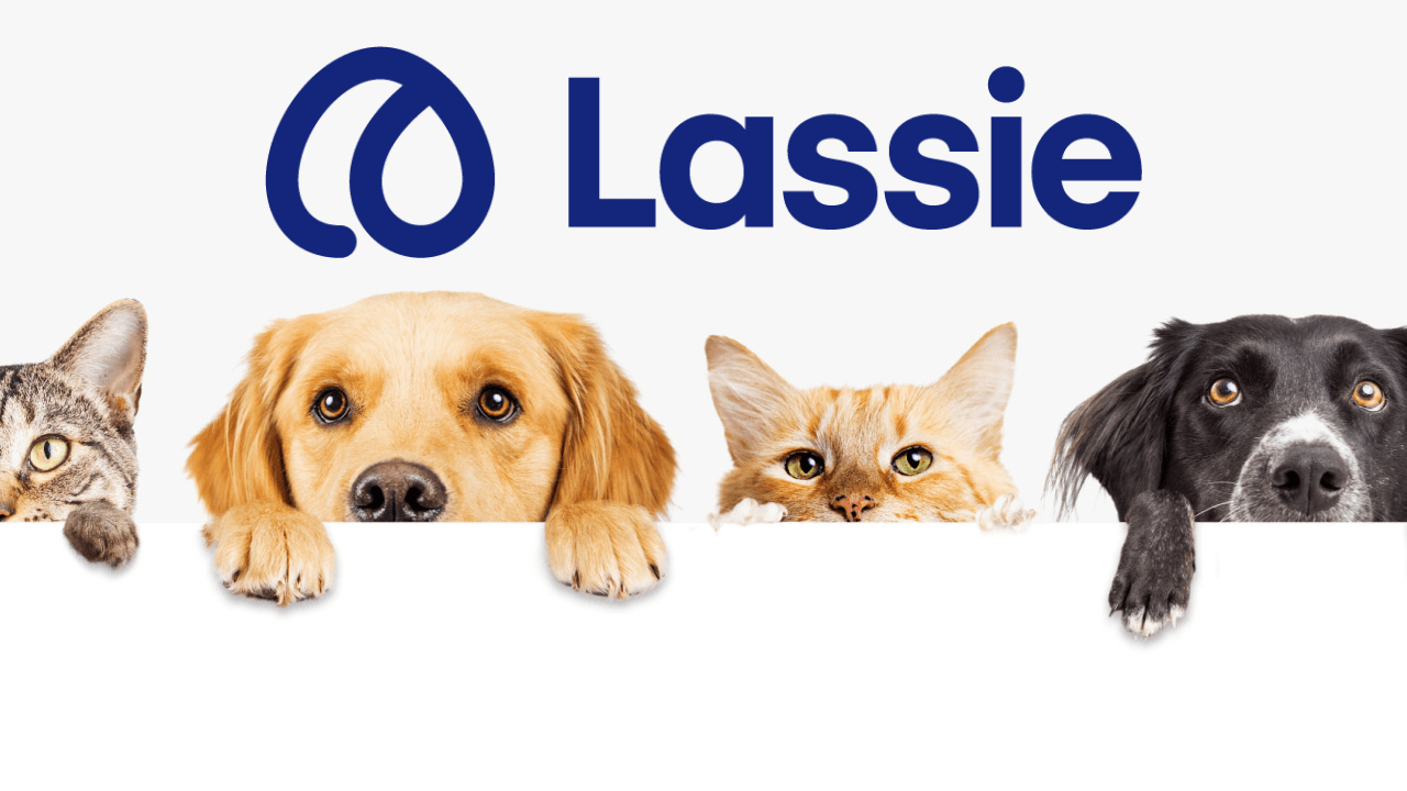 Evcil hayvan odaklı sağlık ve sigorta girişimi Lassie, 23 milyon euro yatırım aldı