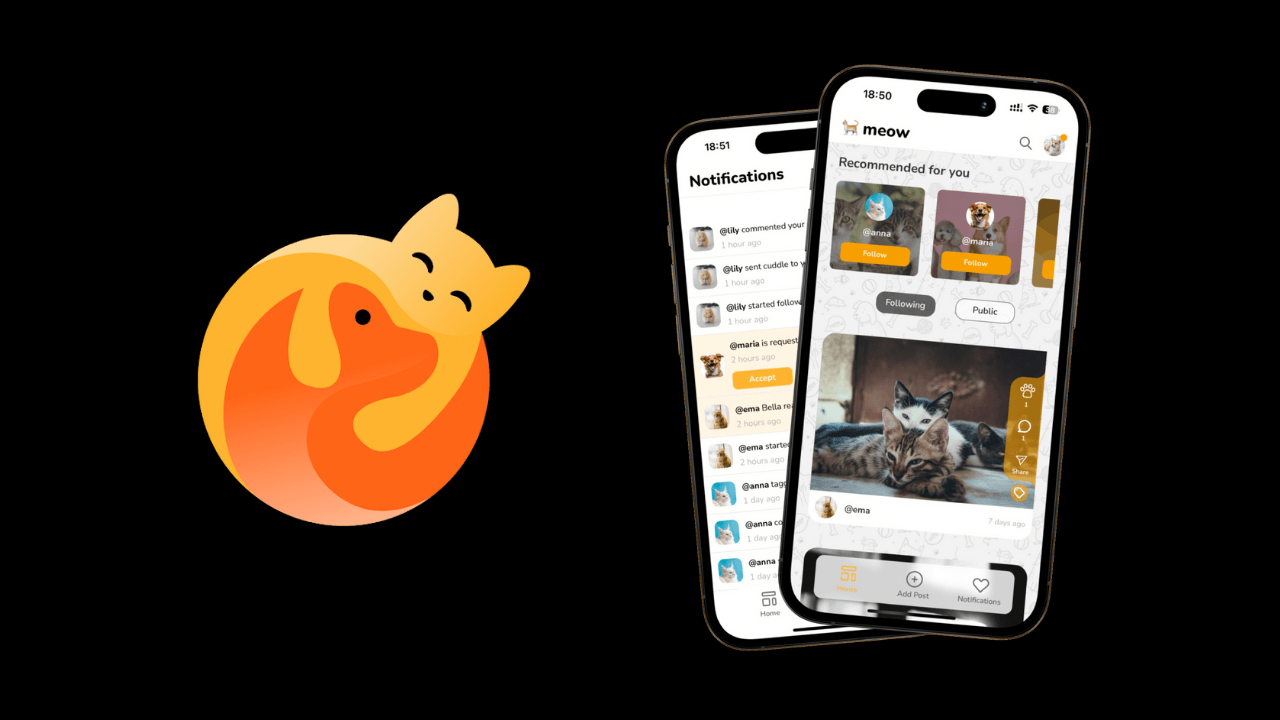 Evcil hayvan sahiplerini bir araya getiren sosyal platform: Petigo