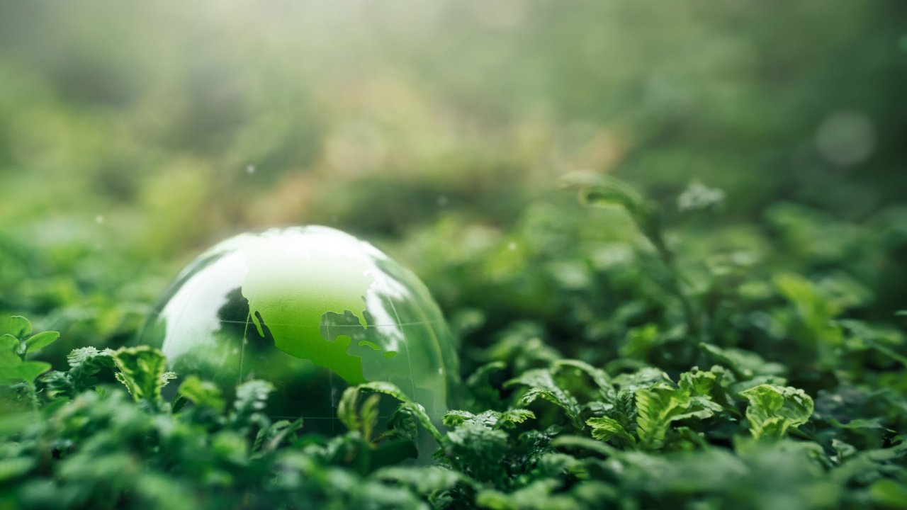 Karbon emisyonu: Başı çeken ülkeler, sorunu azaltabilecek teknolojiler ve daha fazlası