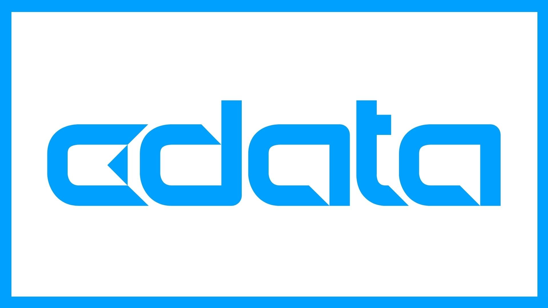 Verilerinizi tek bir noktada toplayan CData Software, 350 milyon dolar yatırım aldı