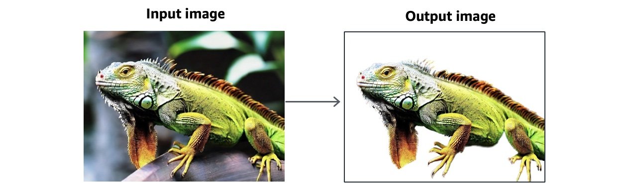 2024-image-generator-v2-3-background-removal-483