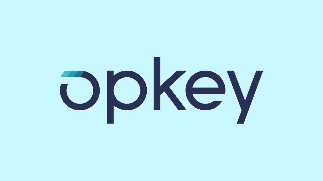 Kurumsal kaynak planlama girişimi Opkey, 47 milyon dolar yatırım aldı