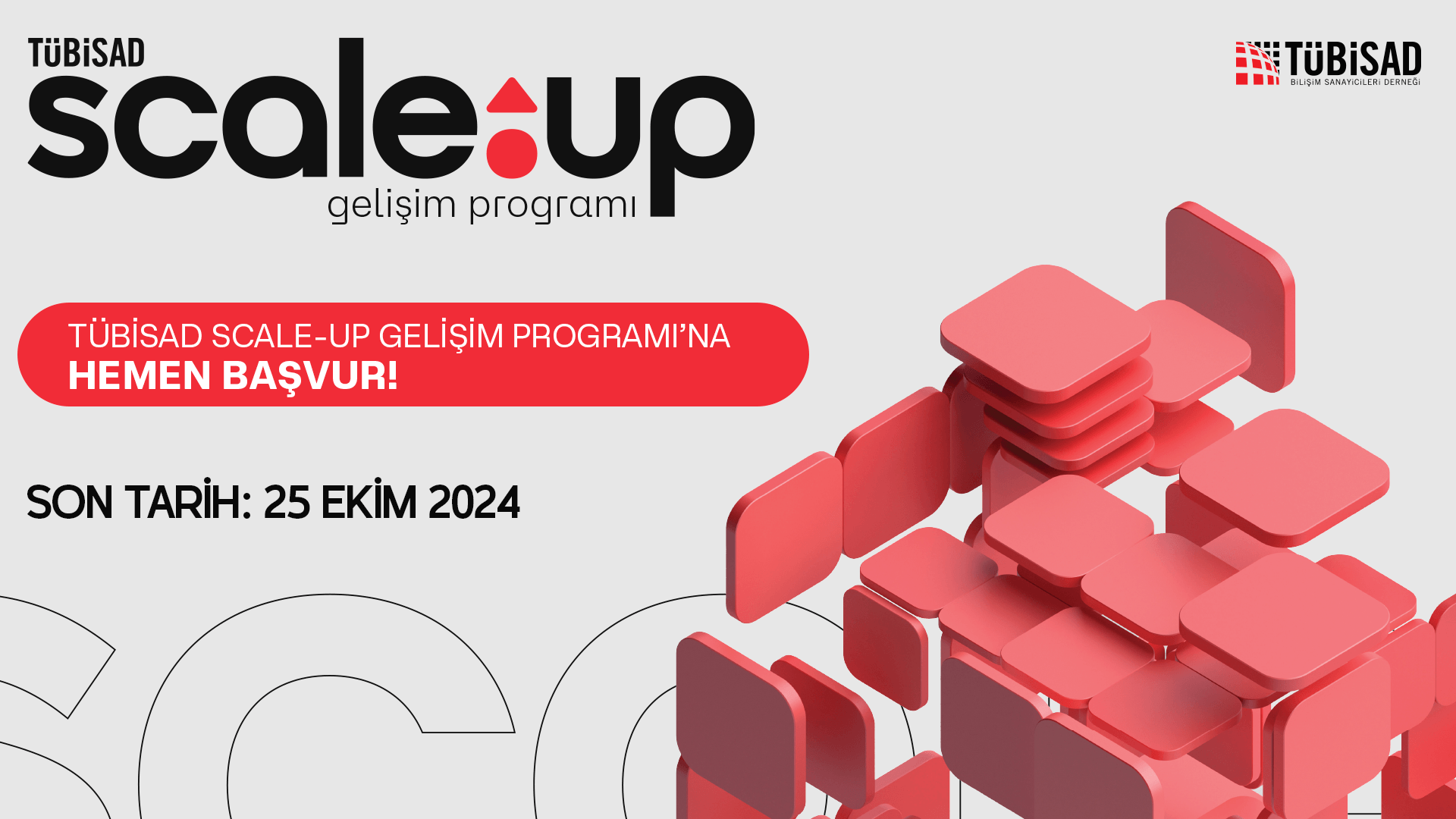TÜBİSAD Scale-Up Gelişim Programı şirketlerin büyüme yolculuklarına destek verecek