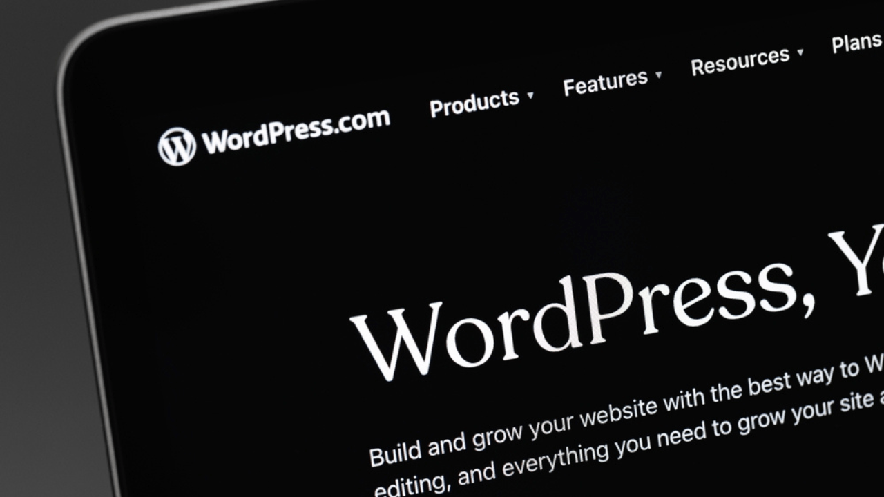 2024 yılında öne çıkan 7 WordPress form eklentisi