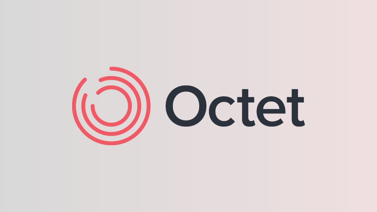 Octet Türkiye, açık bankacılık lisansı aldı
