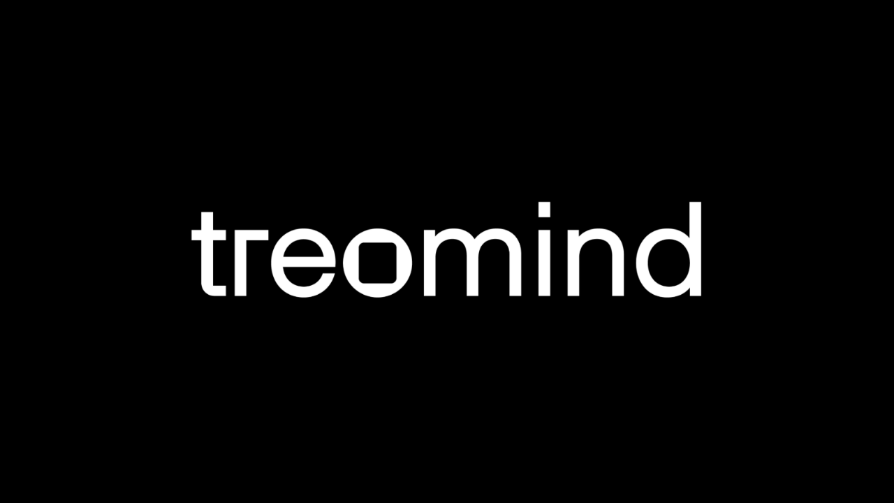 Treo ile Datamind, Treomind çatısı altında birleşti