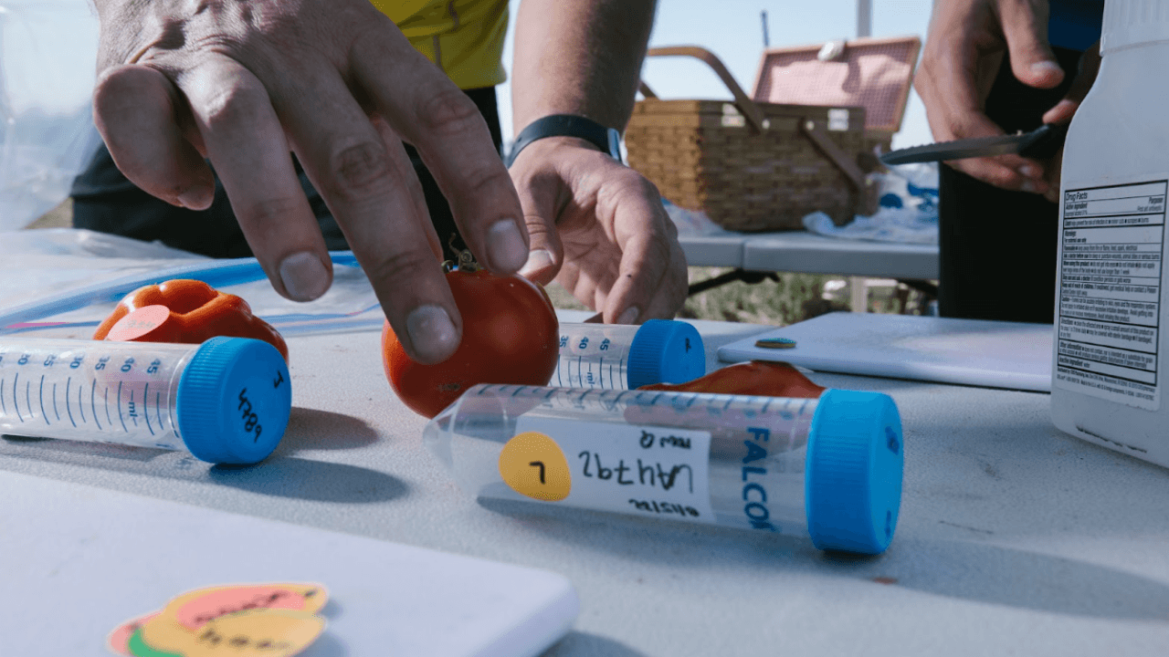 Tarımsal verimliliği artırmayı amaçlayan yapay zeka destekli girişim: Heritable Agriculture