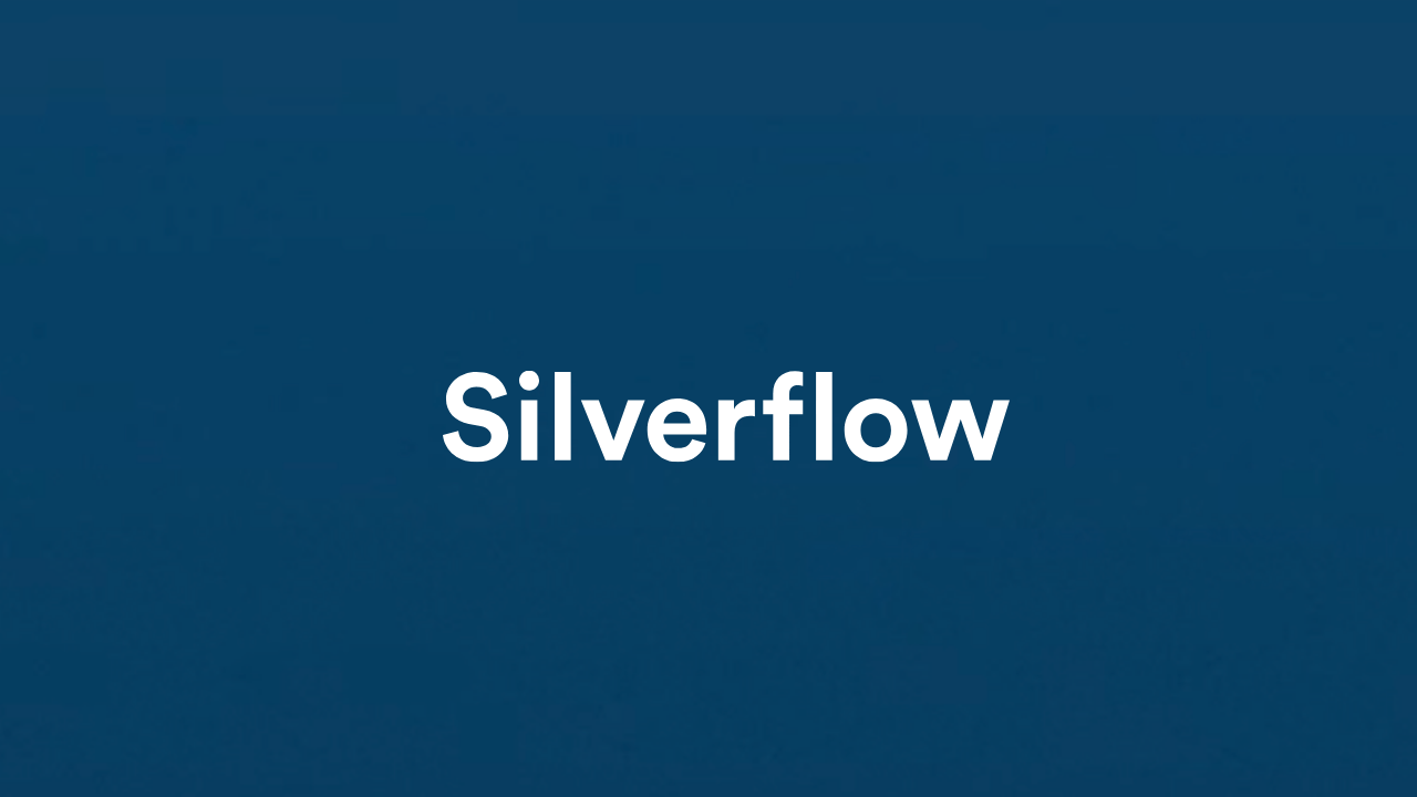 Fintech girişimi Silverflow, 40 milyon dolar yatırım aldı