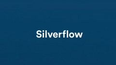 Fintech girişimi Silverflow, 40 milyon dolar yatırım aldı