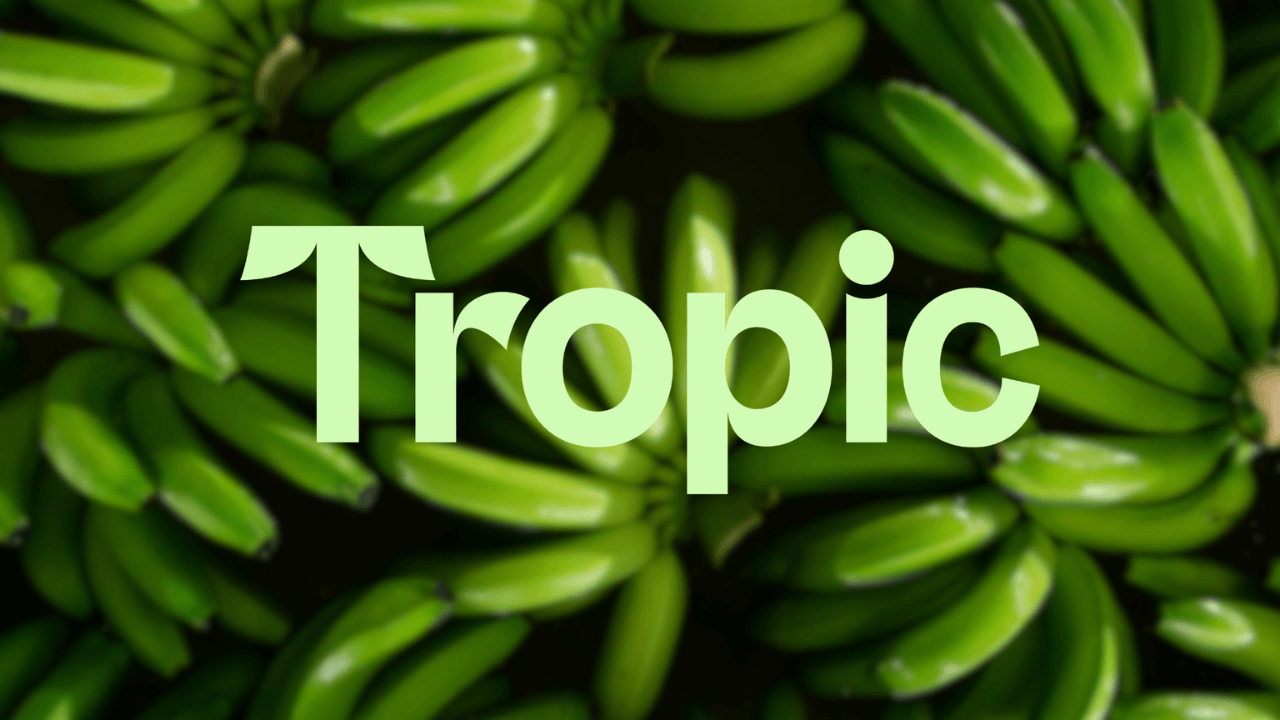 Tarımsal biyoteknoloji girişimi Tropic, 105 milyon dolar yatırım aldı