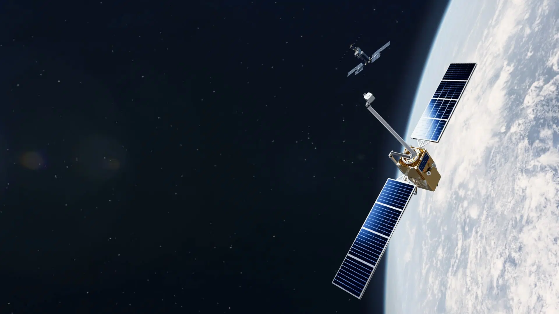 starfish-otter-pup-136