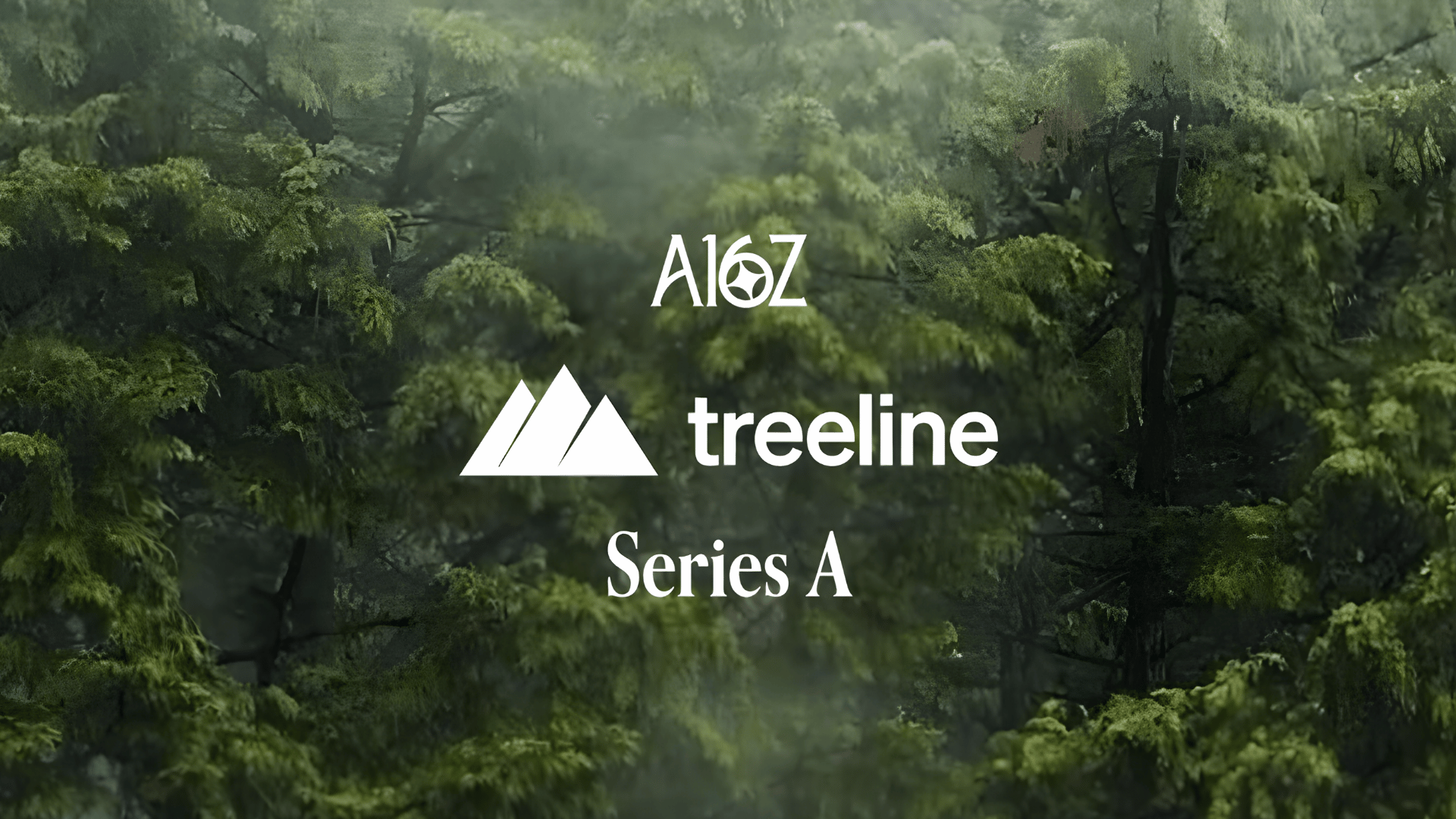 Yapay zeka destekli BT otomasyonu sunan Treeline, 25 milyon dolar yatırım aldı